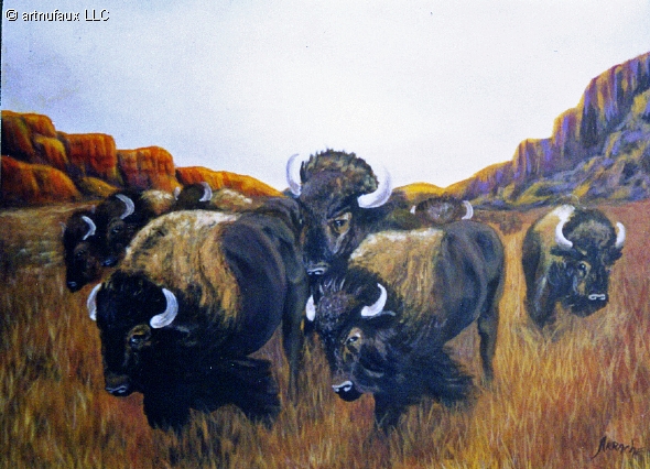 Buffalo Roam 00
